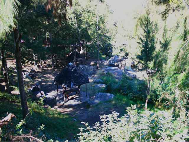 PETITION SITE DE FLEURS JAUNES